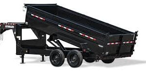 HD Low-Pro Dump (DE)